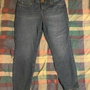 torrid Dark Wash High-Rise Skinny Jeans 18s